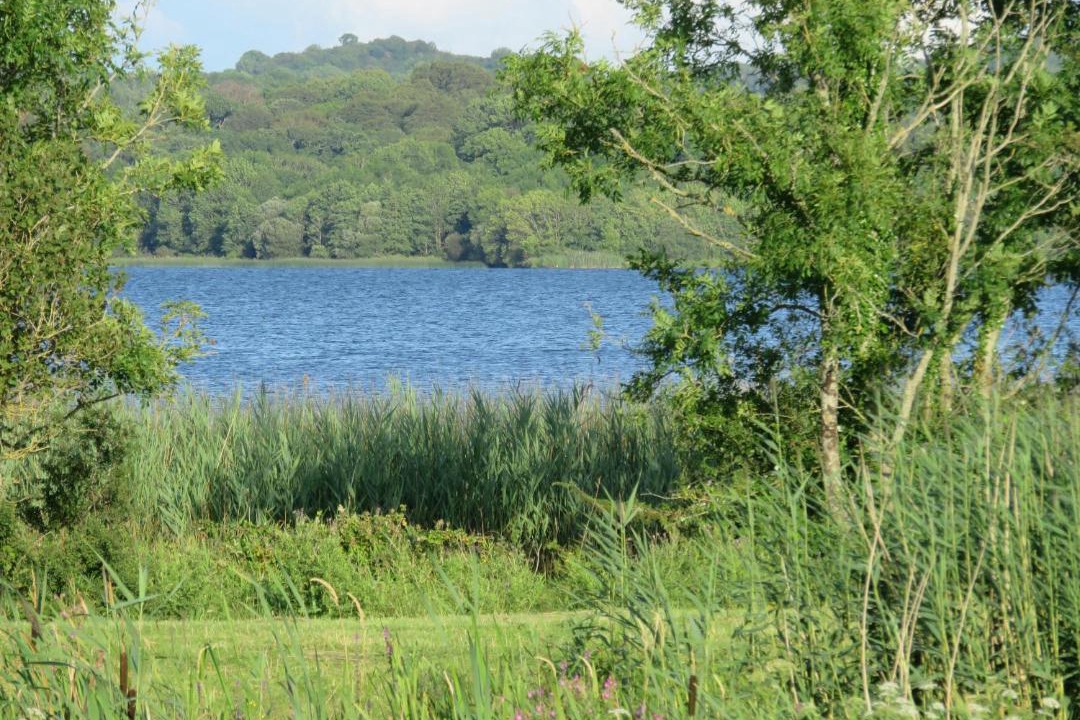 Photo of Others in Woodford