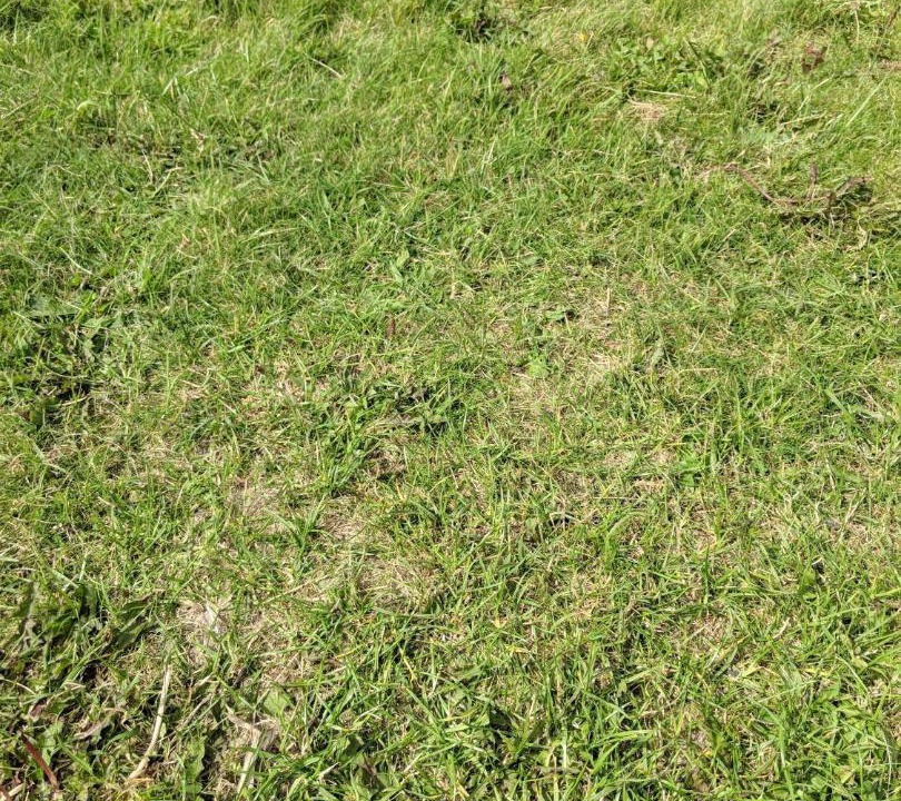 Photo of Outdoor in Clooncarrabaun