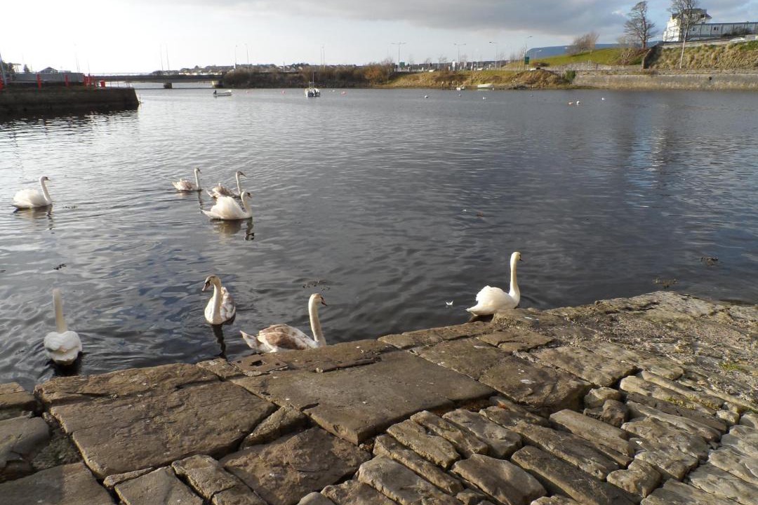 Photo of Others in Sligo
