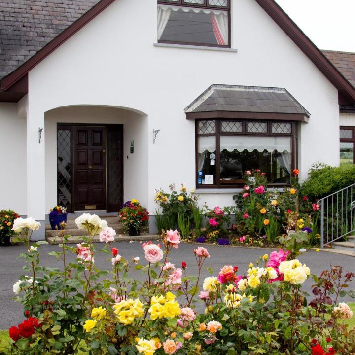 Photo of Others in Carlingford