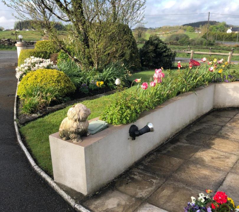 Photo of Others in Kilkelly