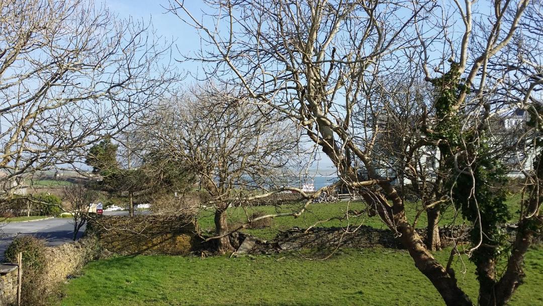 Photo of Others in Liscannor