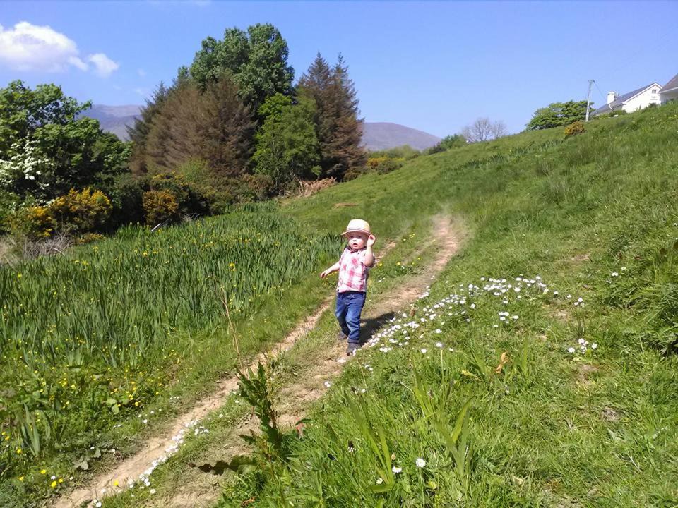 Photo of Others in Annascaul