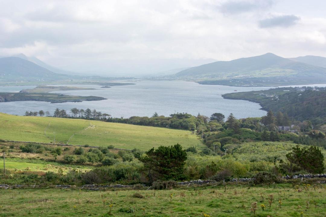 Photo of Others in Valentia Island