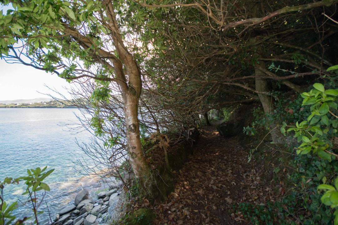 Photo of Others in Valentia Island