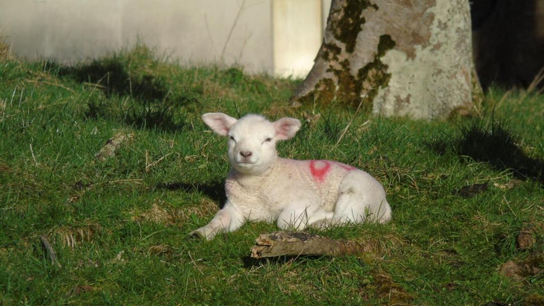 Photo of Others in Kilkilloge