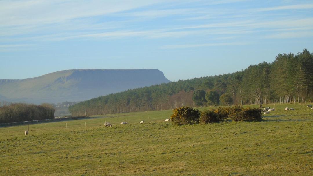 Photo of Others in Kilkilloge