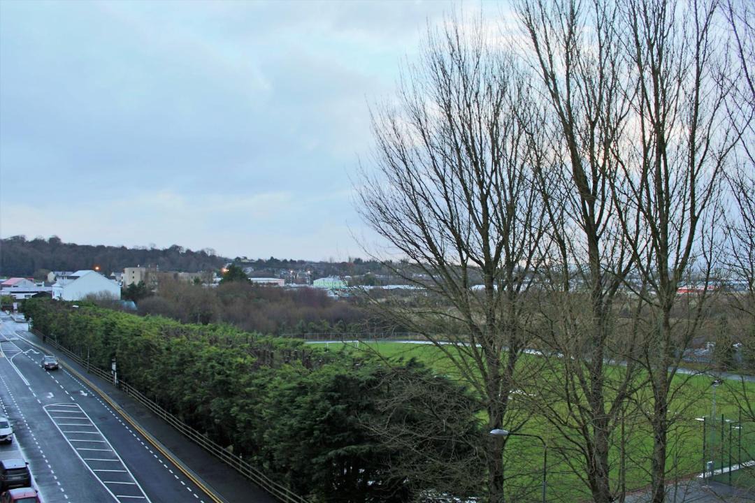 Photo of Others in Letterkenny