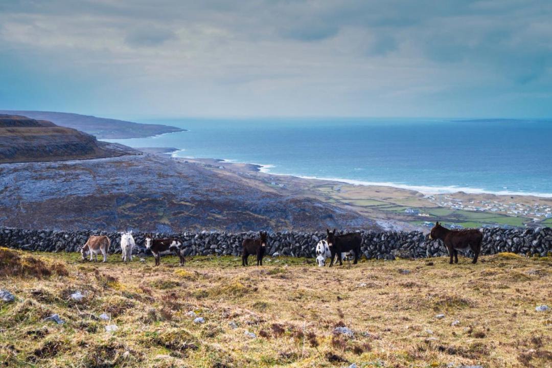 Photo of Others in Murroogh