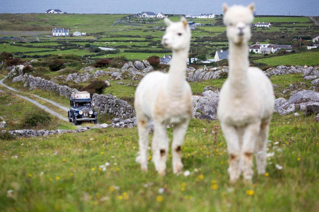 Photo of Others in Murroogh