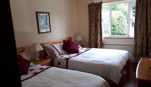 Triple Room, Shared Bathroom (No Pets Allowed)