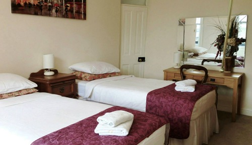 Double or Twin Room, 1 King Bed