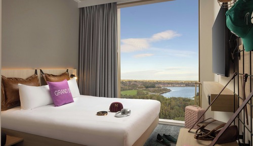 Room, 1 Queen Bed