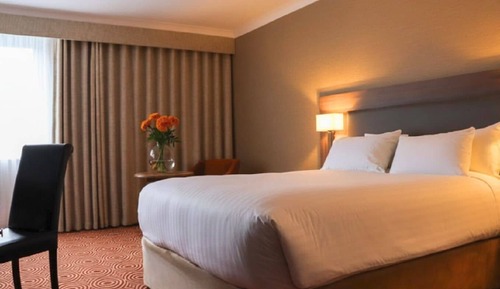Club Double Room for Single Occupancy