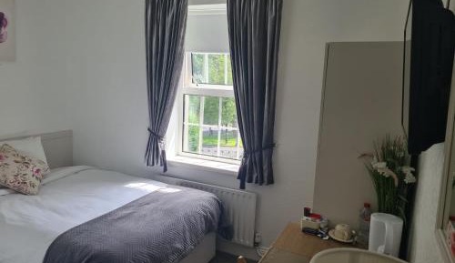 Single Room with Garden View