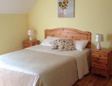 Deluxe Double or Twin Room with Mountain View