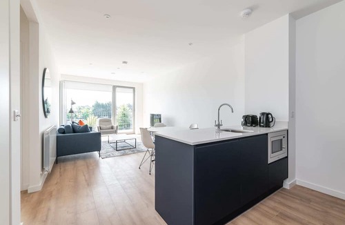 Stillorgan Apartment | Apex Executive Apartments - Lower Kilmacud