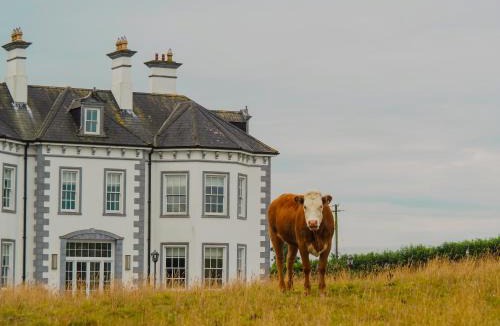 Tallanstown House | Mountrush House Exclusive 10 Bed Ensuite Luxury Manor near Dublin