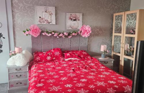Belfast House | Mourne Mountains View