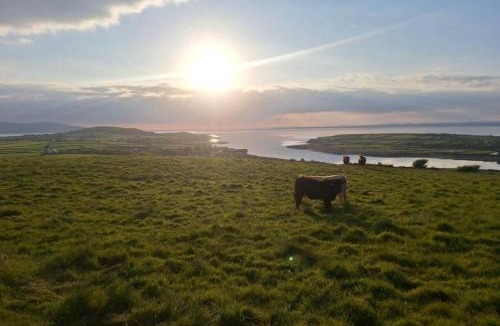 Burren House | Harbour Hill Cottage