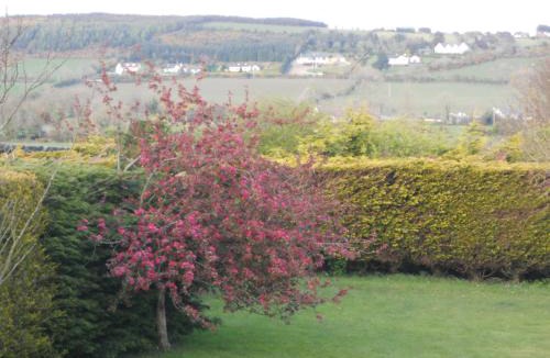 Waterford Hotel | Rhu Glenn Hotel