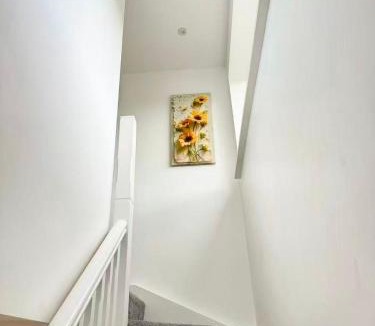 Coleraine House | Trelawney