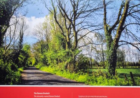 Kinnegad Apartment | Flexistays - Private En-Suite Studios - Kinnegad
