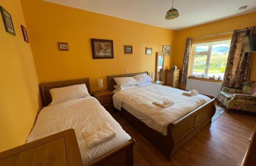 Newport Bed & Breakfast | Roskeen house