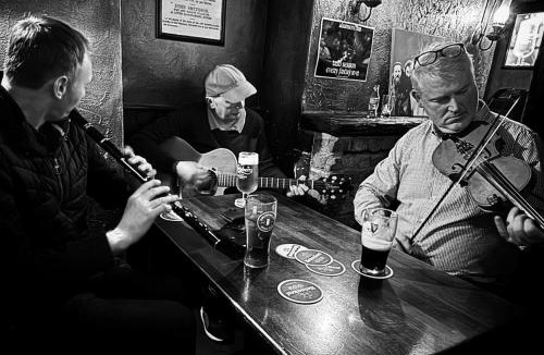Cluain Eois Apartment | The Olde Inn at Adamsons Bar