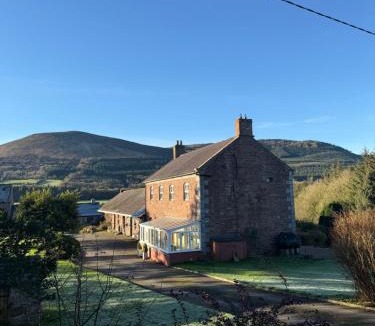 Ballyorgan House | Castle Oliver Farm