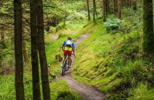 Ballyorgan Ski Chalet | Ballyhoura Glamping
