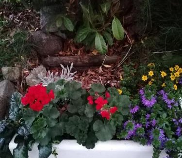 Newry Apartment | The Beeches