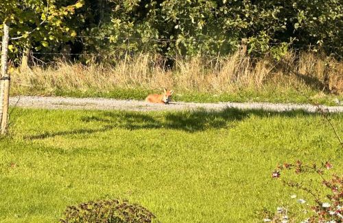 Tudenham Apartment | Animal Farm and Forest