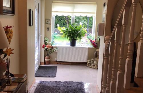 Inishmacatreer Bed & Breakfast | Blakehill House