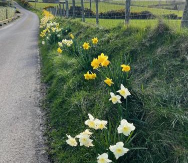 Ballycastle House | Tornaroan Cottage