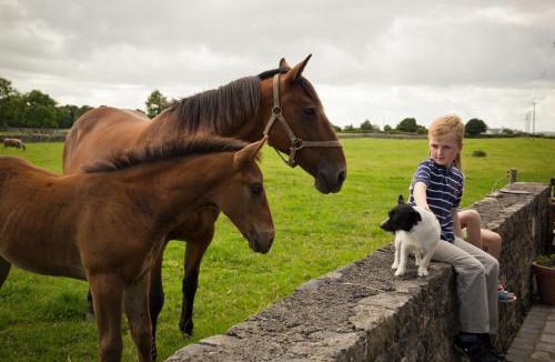 Newmarket on Fergus Bed & Breakfast | Cahergal Farmhouse B&B
