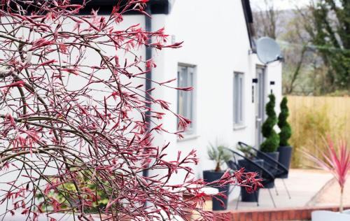 Llanfoist House | Pen-Y-Worlod Cottages