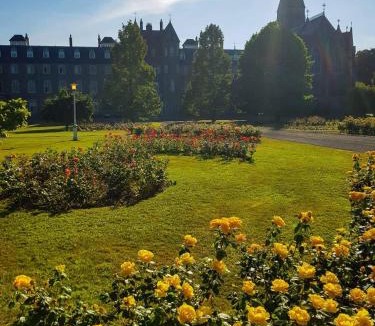 Maynooth Hostel | Maynooth College Hospitality