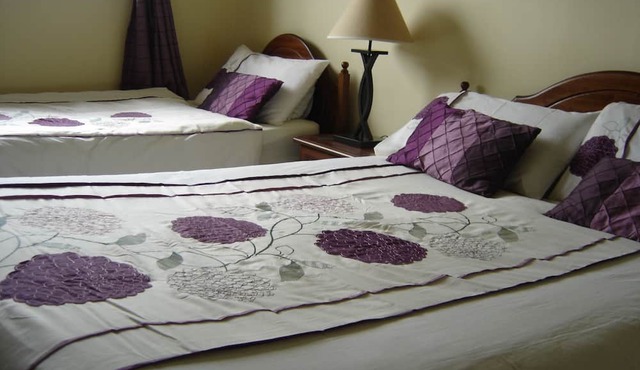 Springlawn Bed and Breakfast