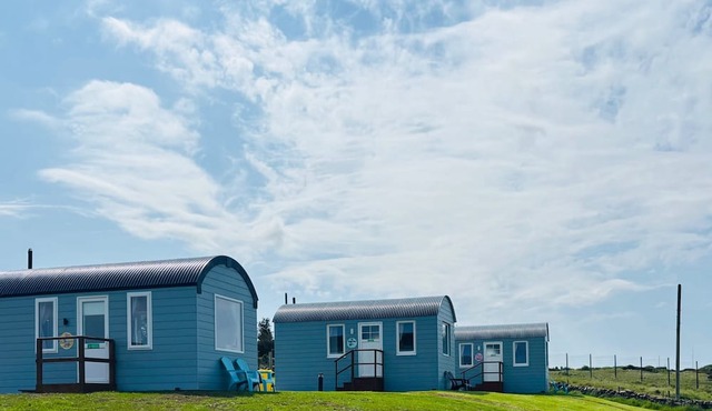 The Snuggly Sheep Shepherd Hut & Sauna Farm Stay
