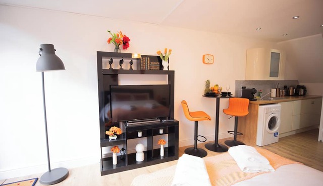 Cozy Studio in Central London