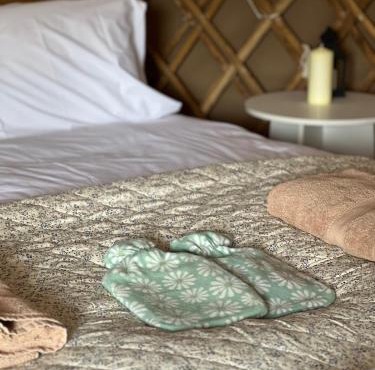 Rock Farm Slane - Glamping