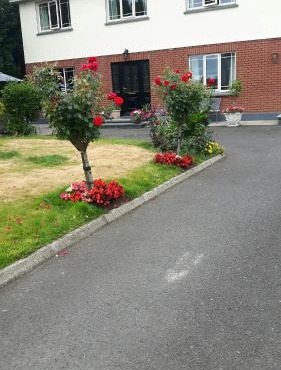 Scapaflow B&B